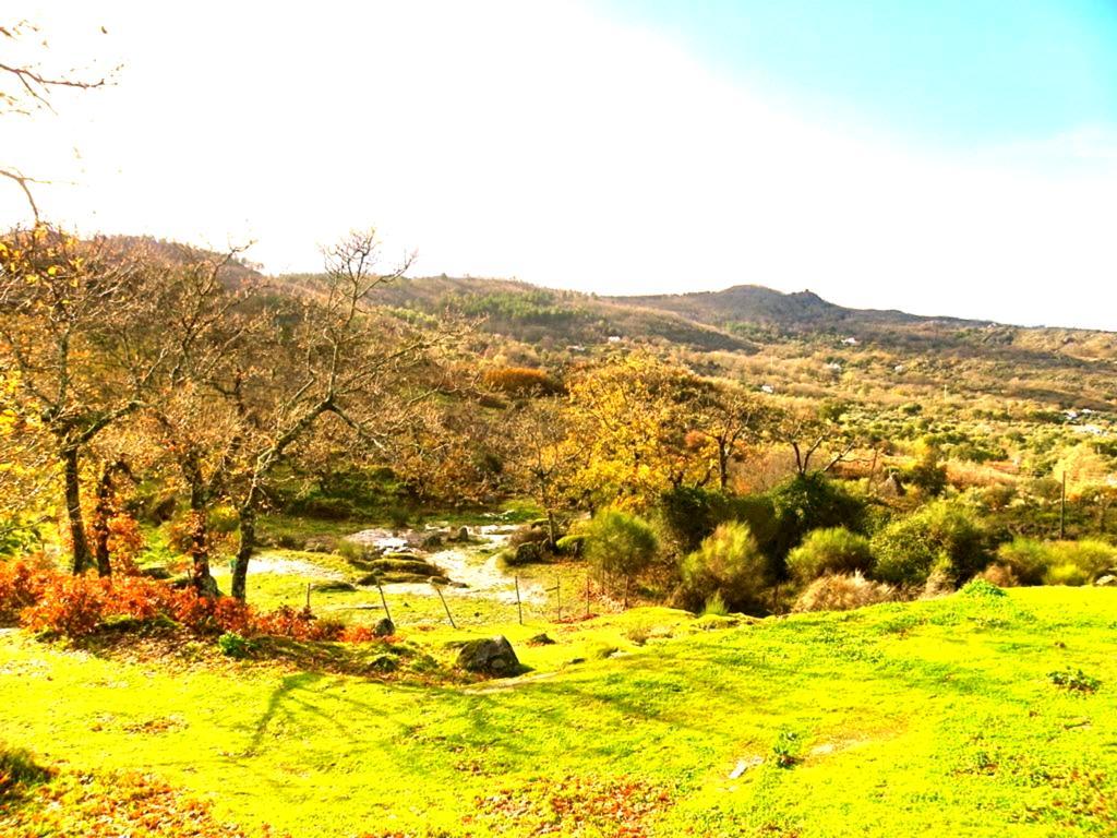 Pensjonat Quinta Do Marvao Pokój zdjęcie